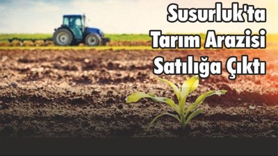 Susurluk'ta Tarım Arazisi Satılığa Çıktı