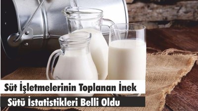 Süt İşletmelerinin Toplanan İnek Sütü İstatistikleri Belli Oldu