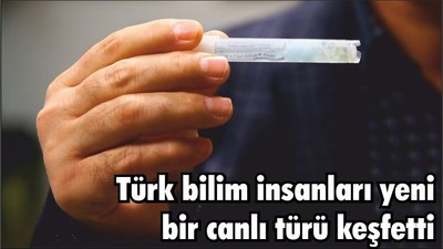 Türk bilim insanları yeni bir canlı türü keşfetti