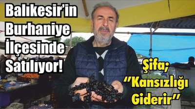 Balıkesir’in Burhaniye İlçesinde Satılıyor! Şifa; Çekirdekli Siyah Kan Üzümü