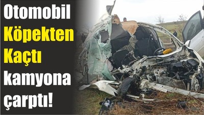 Otomobil Köpekten Kaçtı kamyona çarptı!