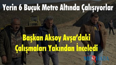 Başkan Aksoy Avşa’daki Çalışmaları Yakından İnceledi