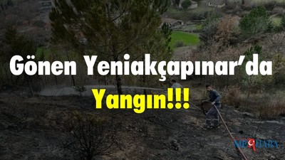 Gönen Yeniakçapınar’da Yangın