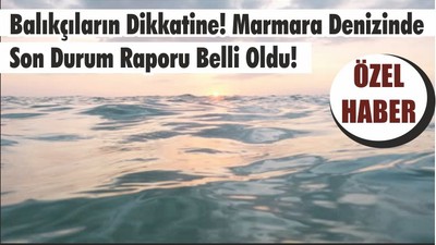 Balıkçıların Dikkatine! Marmara Denizinde Son Durum Raporu Belli Oldu!