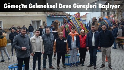 Gömeç’te Geleneksel Deve Güreşleri Başlıyor