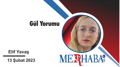 Gül Yorumu