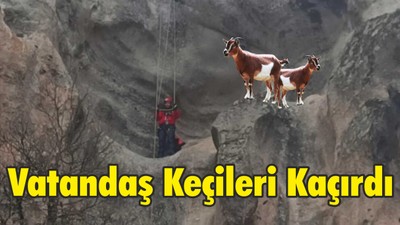 Vatandaş Keçileri Kaçırdı
