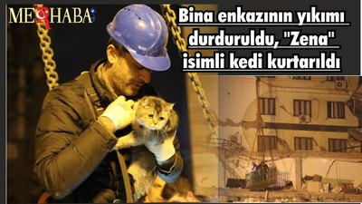 Bina enkazının yıkımı durduruldu, "Zena" isimli kedi kurtarıldı