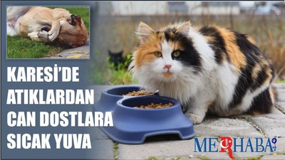 Karesi'de Can Dostlara Sıcak yuva