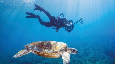 Tayvan'a gelen turistlere para ödenecek