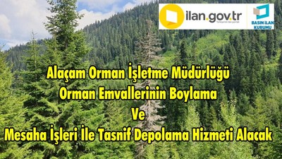 Alaçam Orman İşletme Müdürlüğü Orman Emvallerinin Boylama Ve Mesaha İşleri İle Tasnif Depolama Hizmeti Alacak