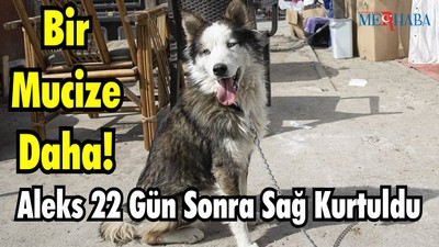 Aleks 22 Gün Sonra Sağ Kurtuldu