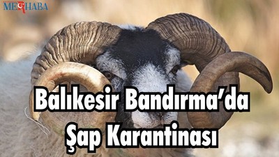 Balıkesir Bandırma’da Şap Karantinası