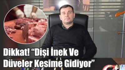 Dikkat! “Dişi İnek Ve Düveler Kesime Gidiyor”