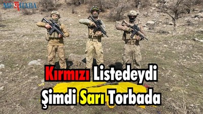 Kırmızı Listedeydi Şimdi Sarı Torbada