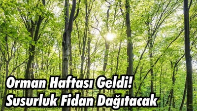 Orman Haftası Geldi! Susurluk Fidan Dağıtacak