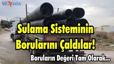 Sulama Sisteminin Borularını Çaldılar