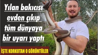 Yılan Kapalı kapıdan nasıl geçti İnanılmaz görüntü