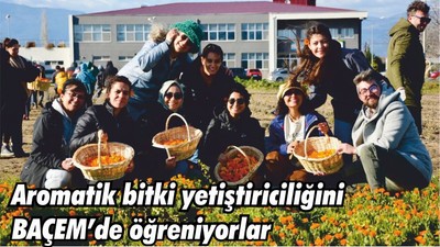 Aromatik bitki yetiştiriciliğini BAÇEM’de öğreniyorlar