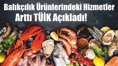 Balıkçılık Ürünlerindeki Hizmetler Arttı TÜİK Açıkladı!
