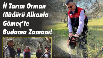 İl Tarım Orman Müdürü Alkanla Gömeç’te Budama Zamanı!