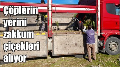 Çöplerin yerini zakkum çiçekleri alıyor