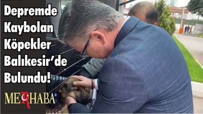Kayıp Köpekler Balıkesir’de Bulundu!