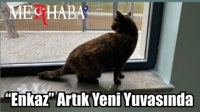 “Enkaz” Artık Yeni Yuvasında