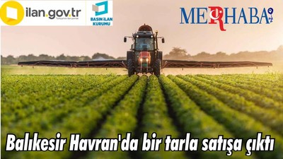 Balıkesir Havran'da bir tarla satışa çıktı
