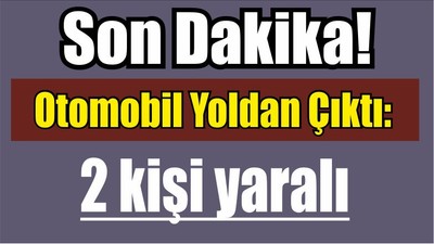 Son Dakika Otomobil Yoldan Çıktı: 2 Kişi Yaralı