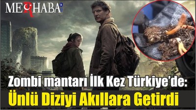 Zombi mantarı İlk Kez Türkiye’de: Ünlü Diziyi Akıllara Getirdi