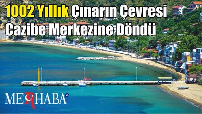 1002 Yıllık Çınarın Çevresi Cazibe Merkezine Döndü