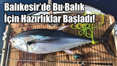 Balıkesir’de Orkinos İçin Hazırlıklar Başladı!