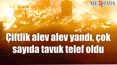 Çiftlik alev alev yandı