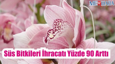 süs bitkileri ihracatı yüzde 90 artış arttı