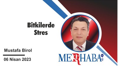 Bitkilerde Stres