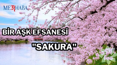 Yeniden Doğuşun Simgesi: Sakura