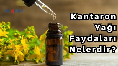 Kantaron Yağı Faydaları Nelerdir?