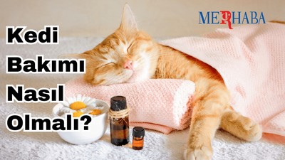 Kedi Bakımı nasıl yapılır