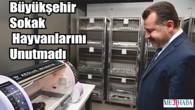 Büyükşehir Sokak Hayvanlarını Unutmadı