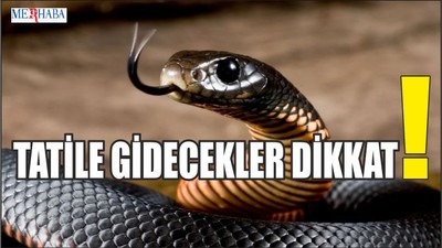 Tatile Gidecekler Dikkat