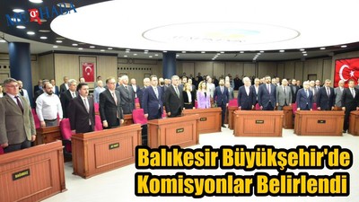 Büyükşehir'de Komisyonlar Belirlendi