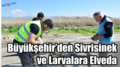Sivrisineklere Elveda