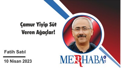 Çamur Yiyip Süt Veren Ağaçlar!
