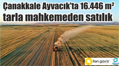Çanakkale Ayvacık'ta 16.446 m² tarla mahkemeden satılık