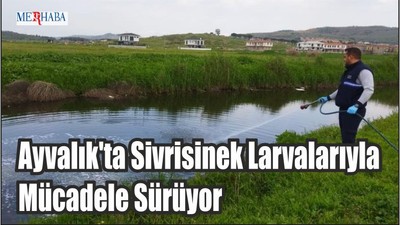 Ayvalık'ta Sivrisinek Larvalarıyla Mücadele Sürüyor