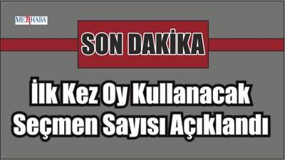 İlk Kez Oy Kullanacakların Sayısı