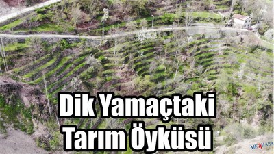 Dik Yamaçtaki Tarım Öyküsü
