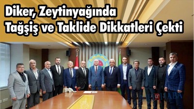 Zeytinyağında Tağşiş ve Taklit
