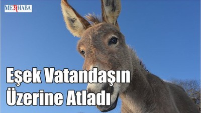Eşek Vatandaşın Üzerine Atladı